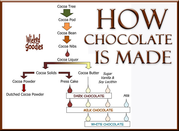 How Chocolate is Made by Wicked Goodies